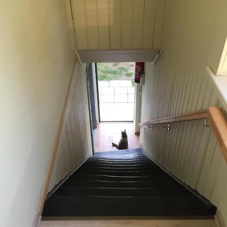Korter Kalamehe Oeoemaja *